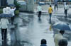 Twin districts experience effects of Cyclone Nilam